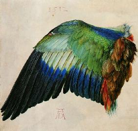 Wing of a Bird 1512