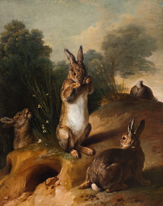 Rabbits from Alexandre-François Desportes