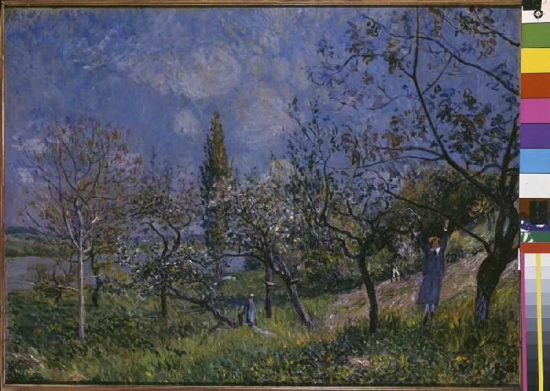 The tree garden from Alfred Sisley