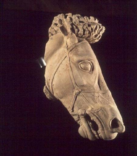 Head of a horse from Anonymous painter