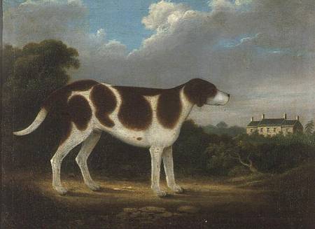 A Pointer, Primitive School from Anonymous painter