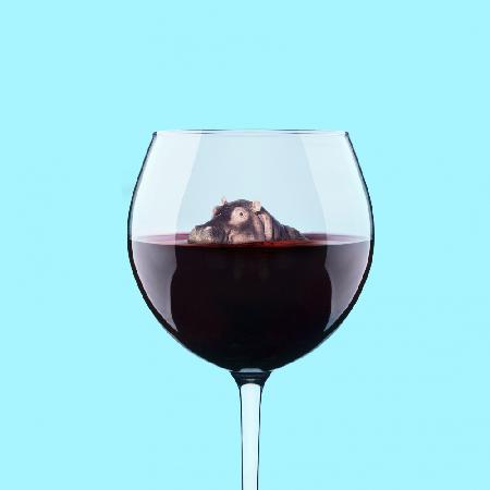 Dive in Wine