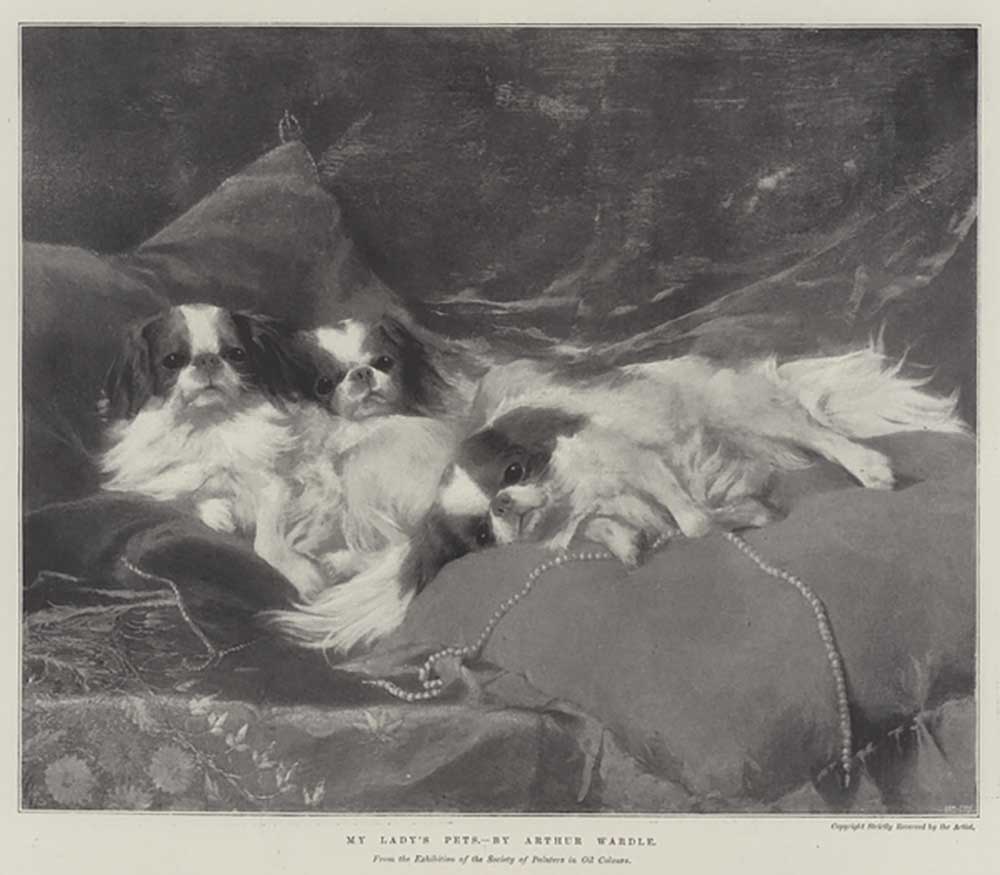 My Ladys Pets from Arthur Wardle