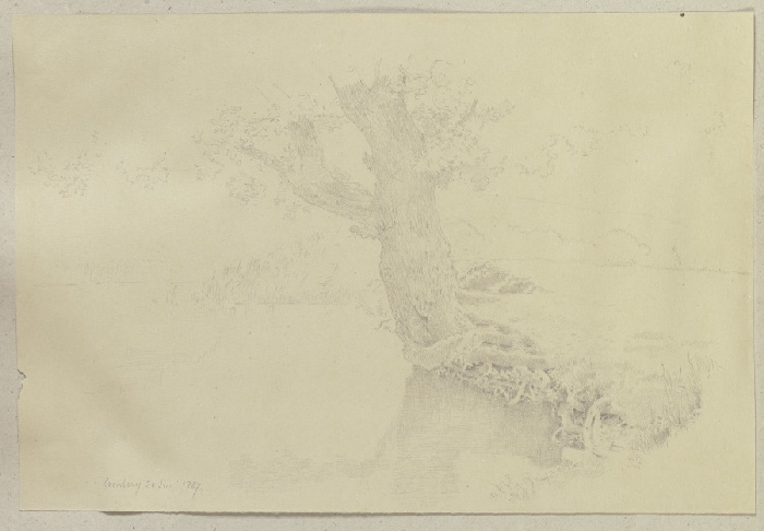 Alter Baum mit freiliegendem Wurzelstock an einer Uferböschung from Carl Theodor Reiffenstein