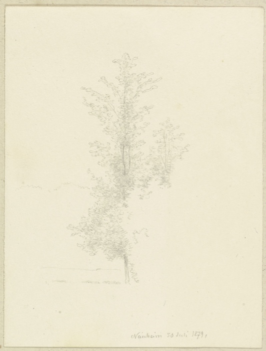 Young tree near Nauheim from Carl Theodor Reiffenstein