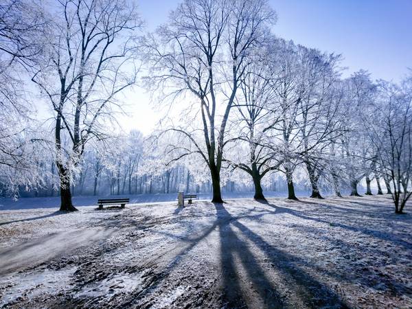 Wintertraum. Licht und Schatten im Winter.jpg (29924 KB)  from Dennis Wetzel