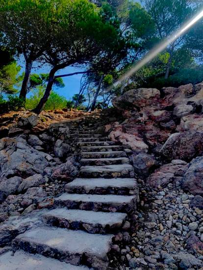 Treppe aus Stein am Strand unter Pinien