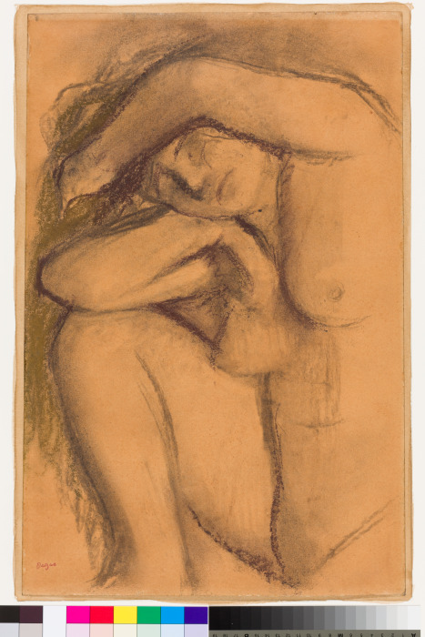 Study of the nude from Edgar Degas