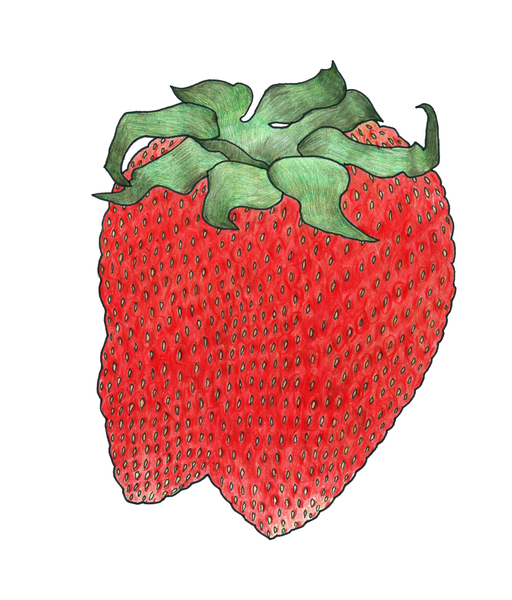 Strawberry 2 from Faisal Khouja