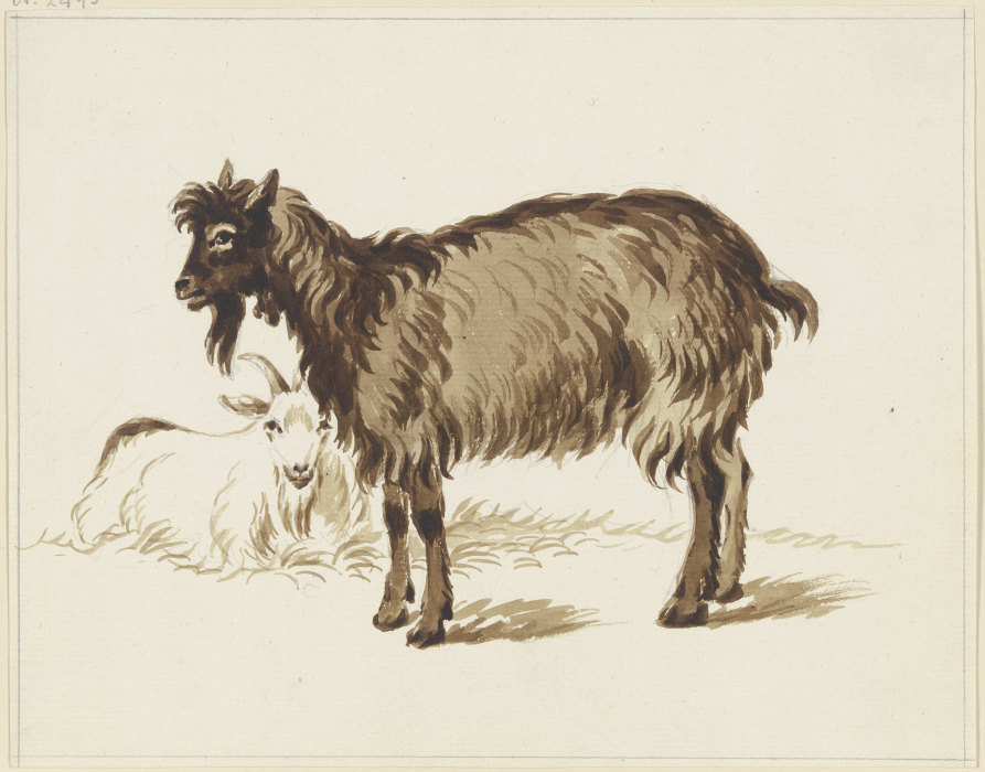 Stehende und liegende Ziege from Friedrich Wilhelm Hirt