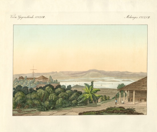 Pulu Penang from German School, (19th century)
