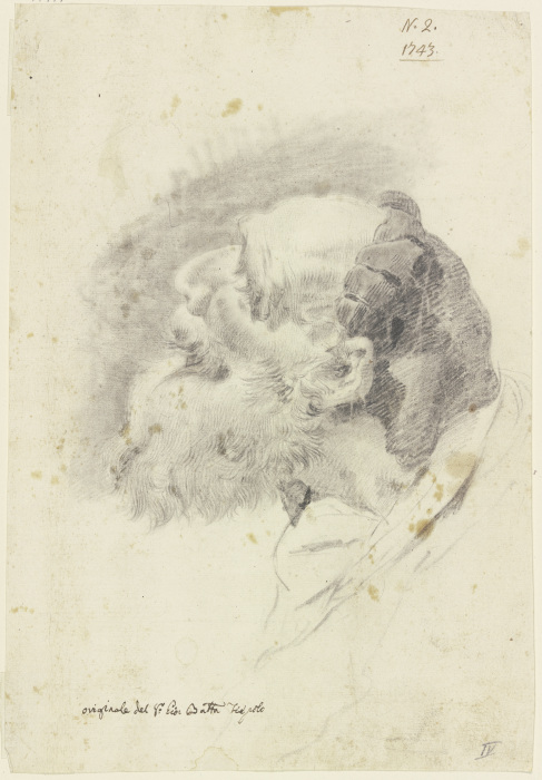Studienkopf eines nach links oben blickenden Mannes from Giovanni Battista Tiepolo