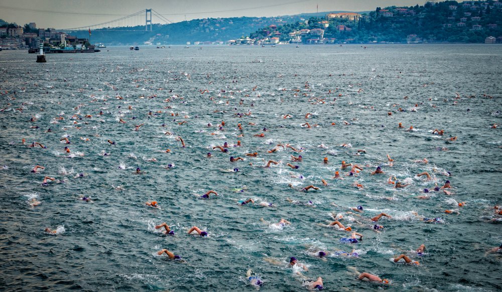 swimming race from HALIT KARTAL