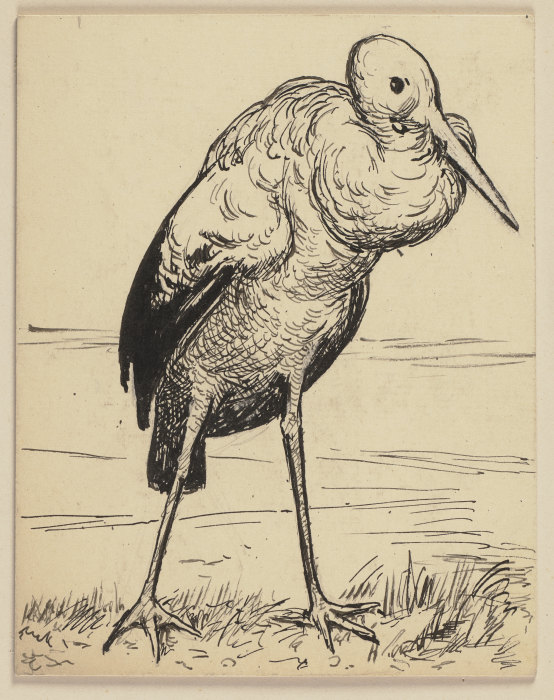 Zeichnung zur Fibel: Storch from Hans Thoma