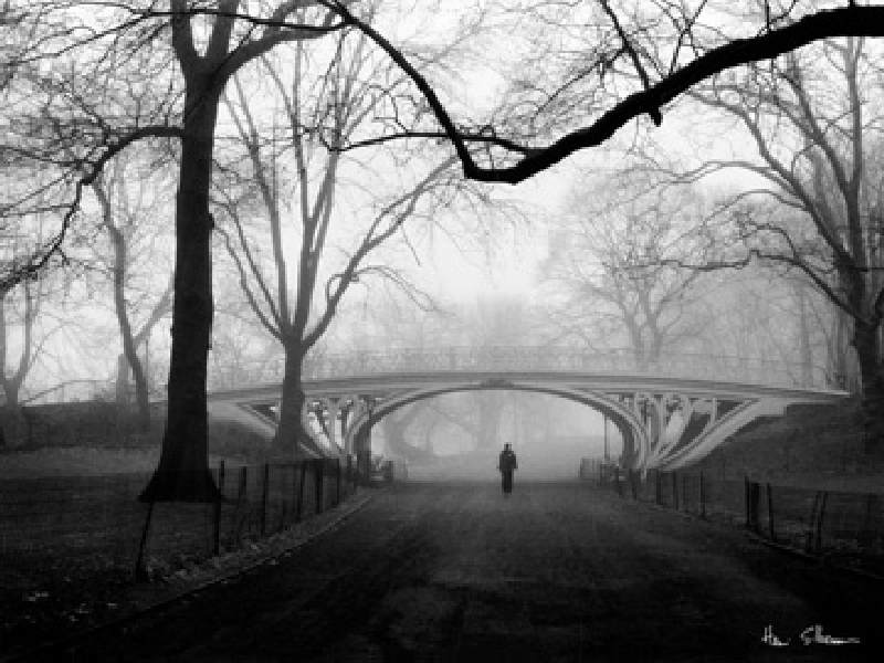 Image: Henri Silberman - Gothic Bridge, Central Park NYC