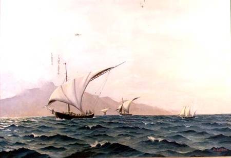 Portuguese Fishing Boats from Holger Lubbers