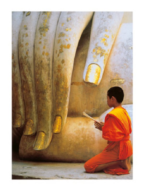 Image: Hugh Sitton - The Hand of Buddha