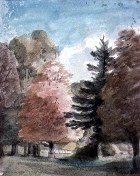 Study of Trees in a Park from John Constable
