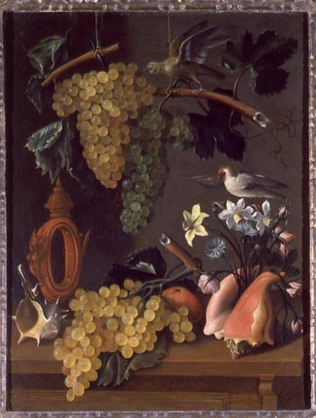 Still Life with Grapes, Birds, Flowers and Shells from Juan de Espinosa