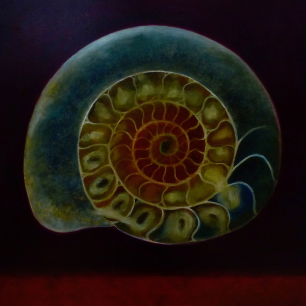 Green Ammonite from Lee Campbell