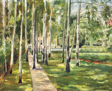 the birchavenue at the Wannsee-garden