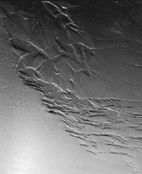 Sand surface, Porbandar (b/w photo) 