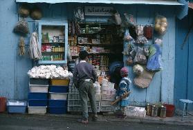 The grocer's shop (photo) 