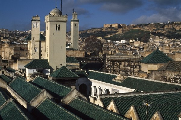 View of the mosque and the roofs (photo)  from 