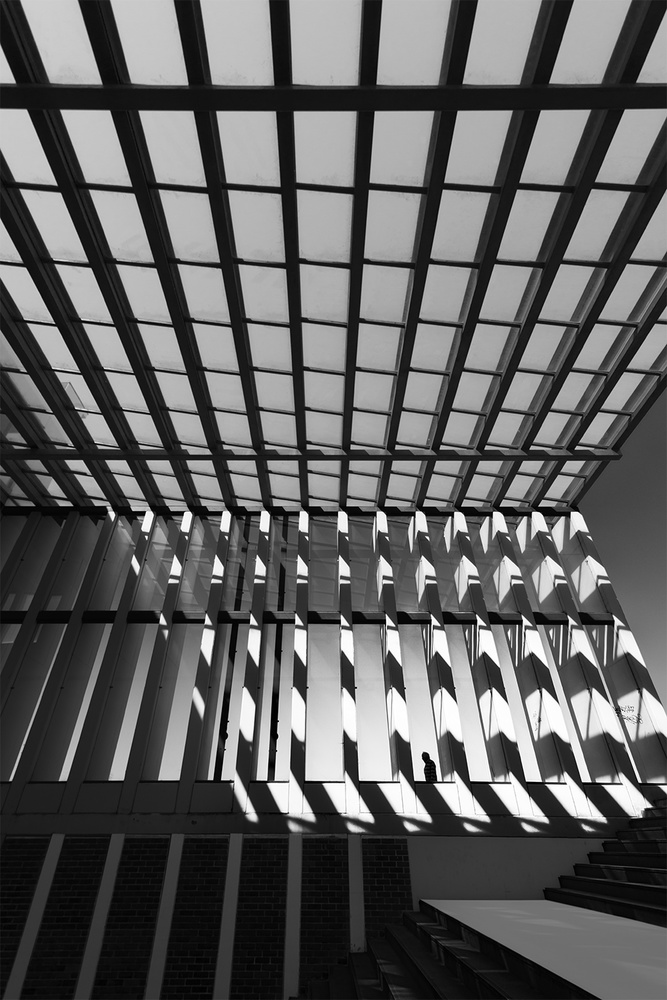 The Disappearance from Paulo Abrantes