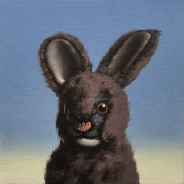 Bunny from Peter Jones