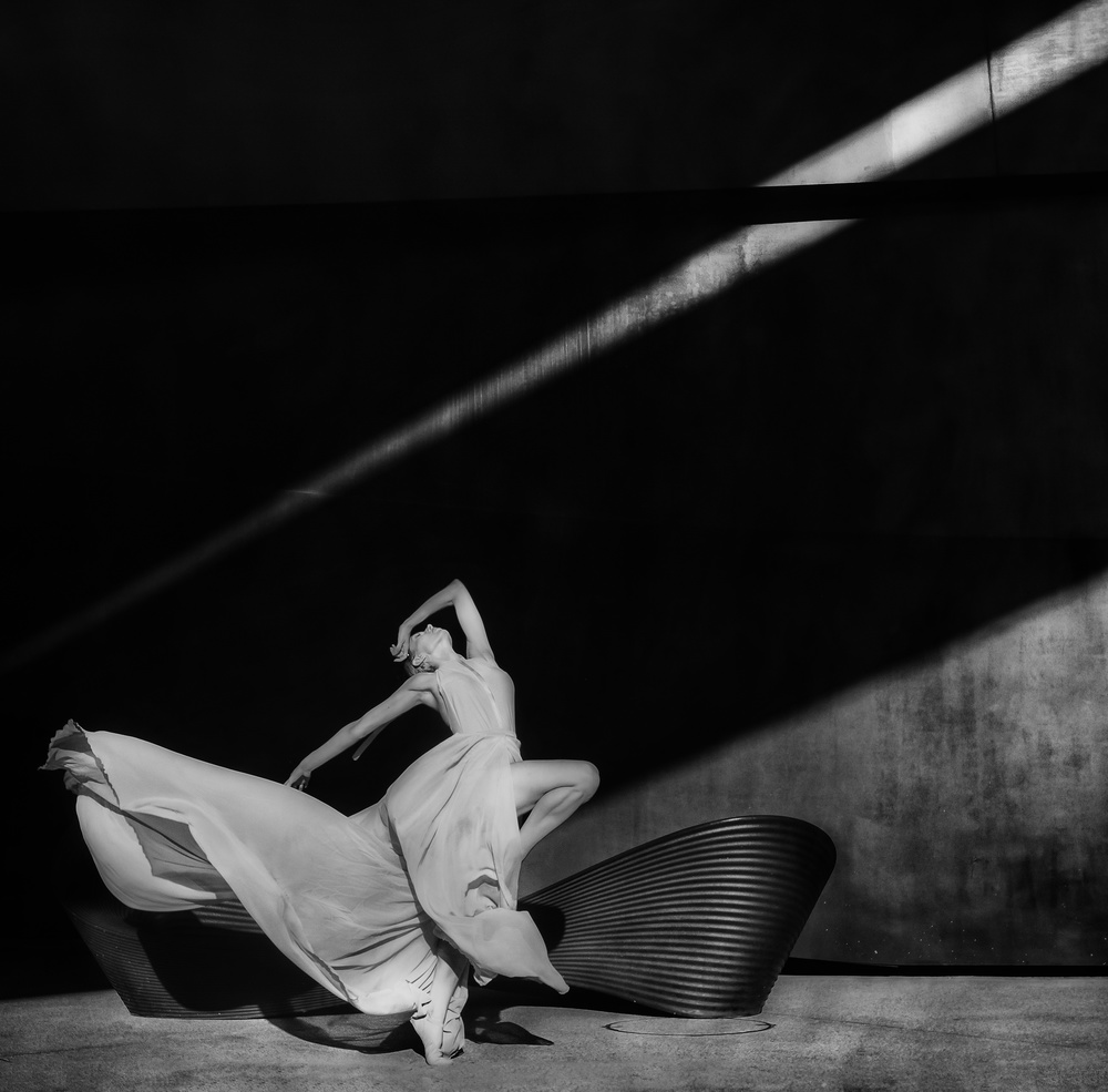 Dancing with the light from Rachel Pansky