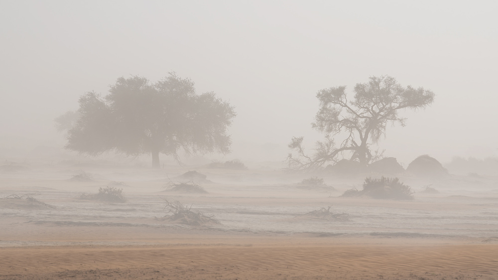 Desert Storm from Roberto Marchegiani
