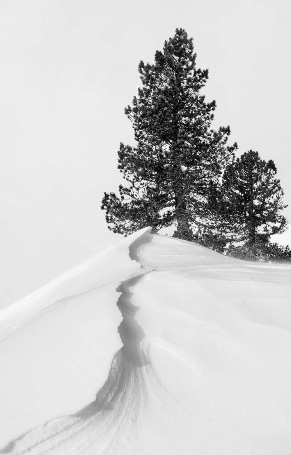 Image: Rodrigo Núñez Buj - About the snow and forms