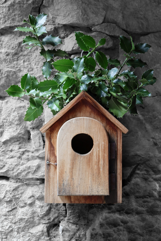 Holly birdhouse from Rosana Laiz Blursbyai
