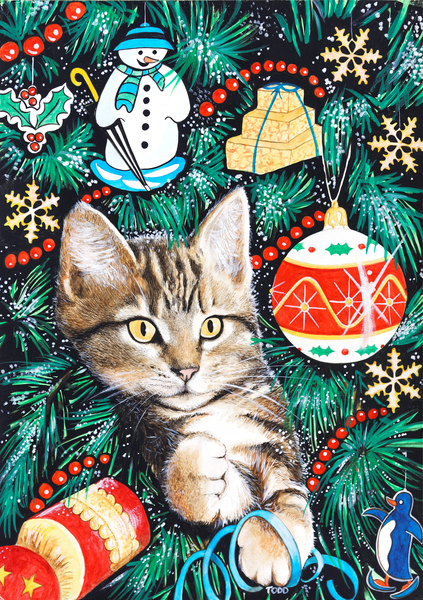Tabby Christmas Kitten from Tony  Todd