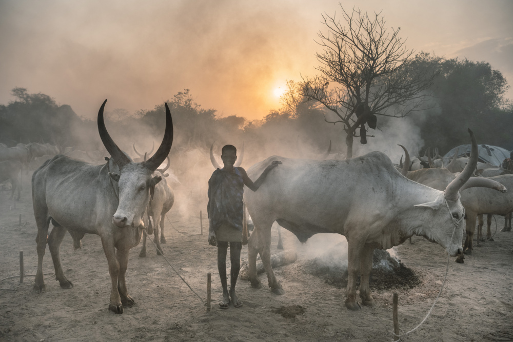 Young Mundari girl in camp from Trevor Cole