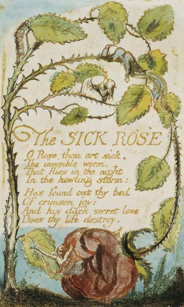 The Sick Rose, from Songs of Innocence from William Blake