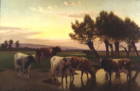 Evening near Amberley from William Sidney Cooper